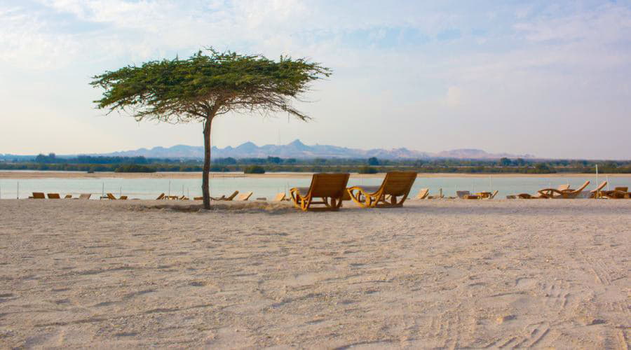 Wat zijn de populairste voertuigkeuzes in Sir Bani Yas?